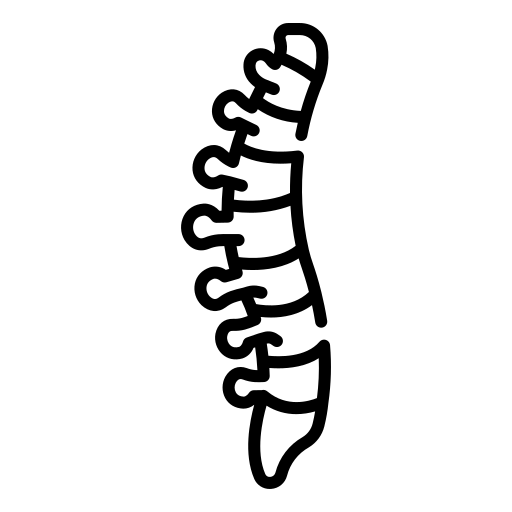 Cervical spine