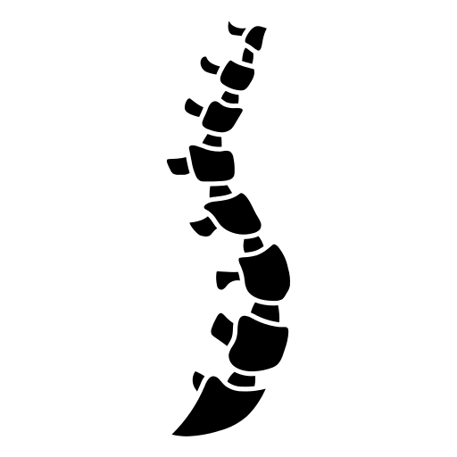 Thoracic spine